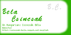 bela csincsak business card
